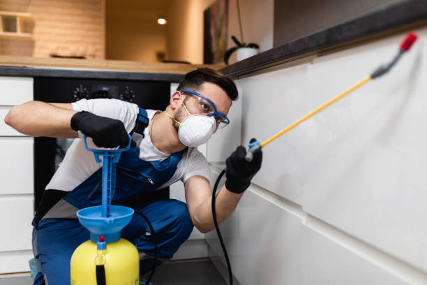 Best Cockroach Control Services  in Unionville, MO