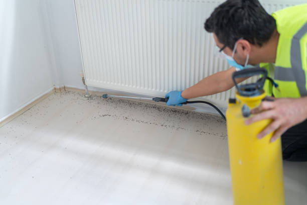 Best Best Pest Control Companies  in Unionville, MO